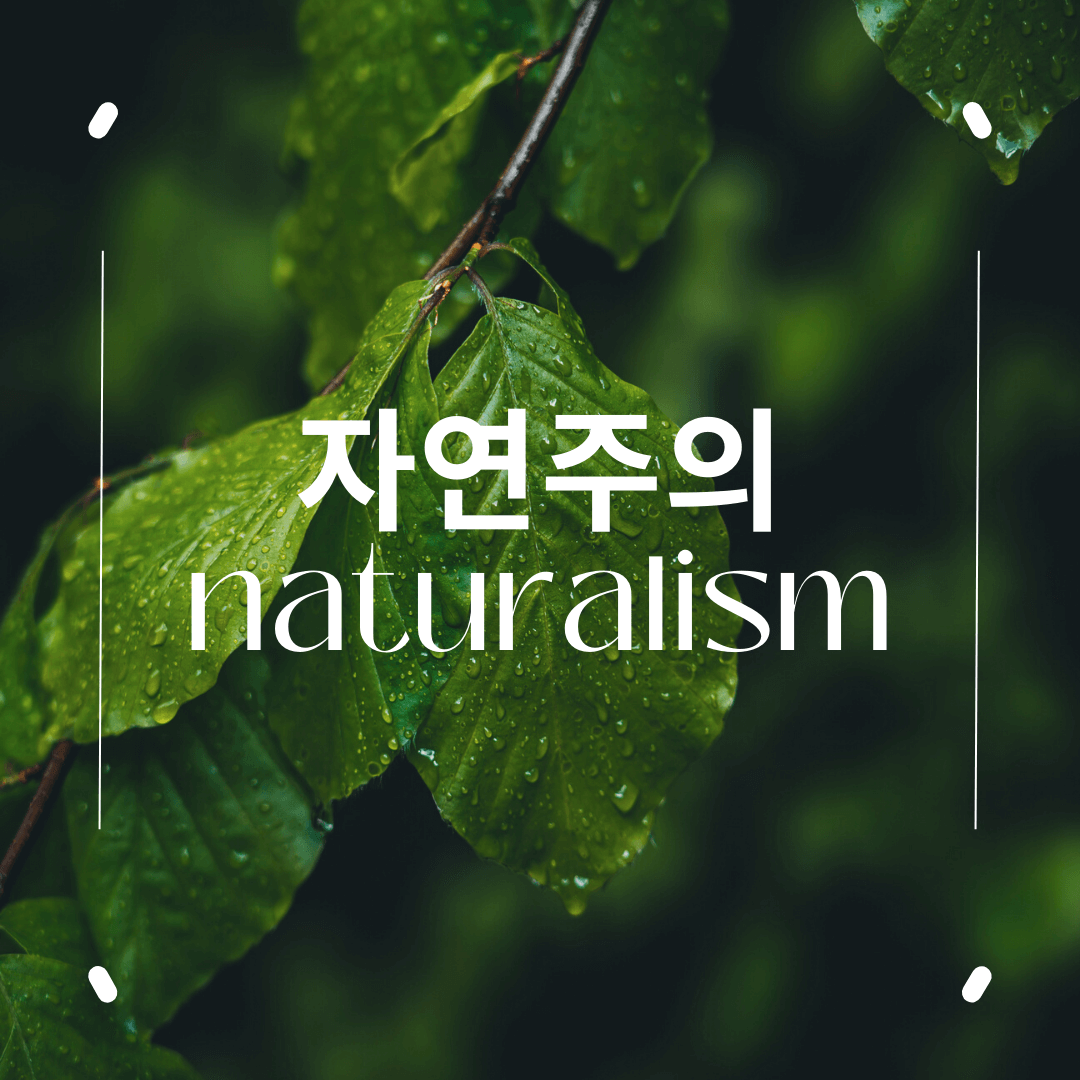 나뭇잎 사진