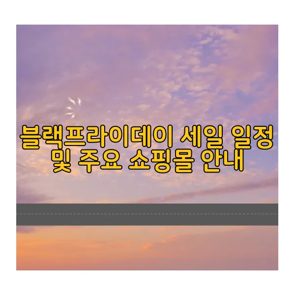 2024년 블랙프라이데이 세일 일정, 기간 혜택