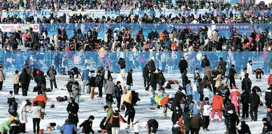 화천 산천어 축제