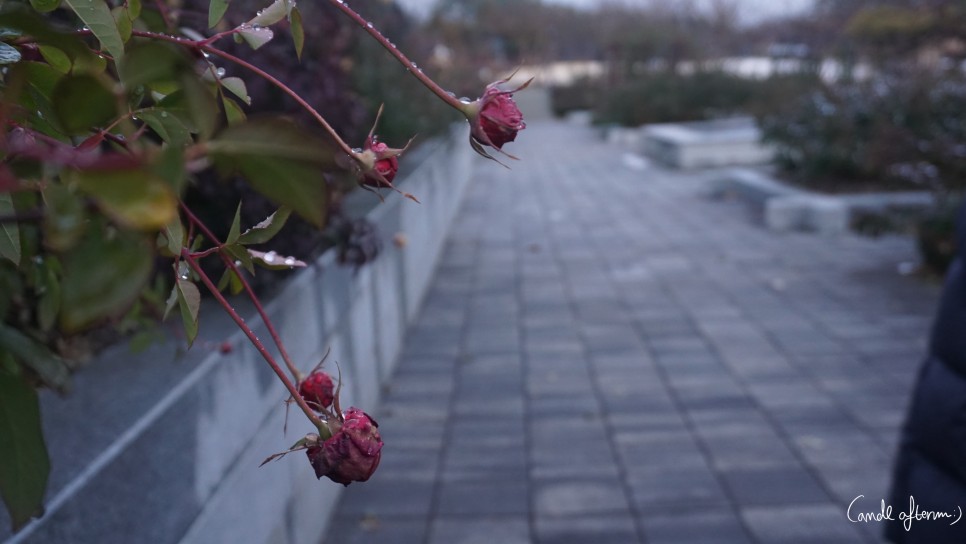 전주 겨울여행 전주겨울여행/한국도로공사 14