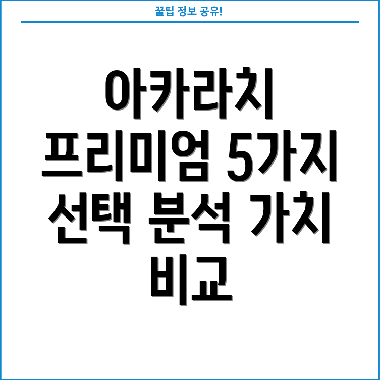 아카라치프리미엄상품품격과가치를담은5가지선택분석및비교