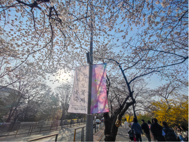 2023.봄꽃놀이.여의도.벚꽃축제.윤중로가는길.일정.총정리