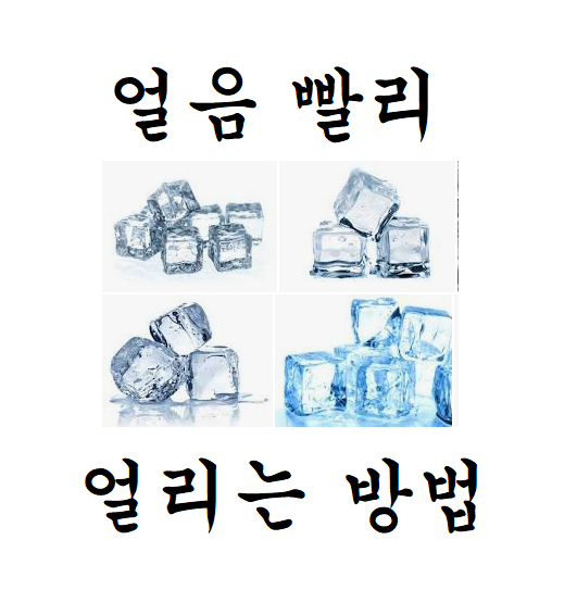  얼음 빨리 얼리는법 3가지!