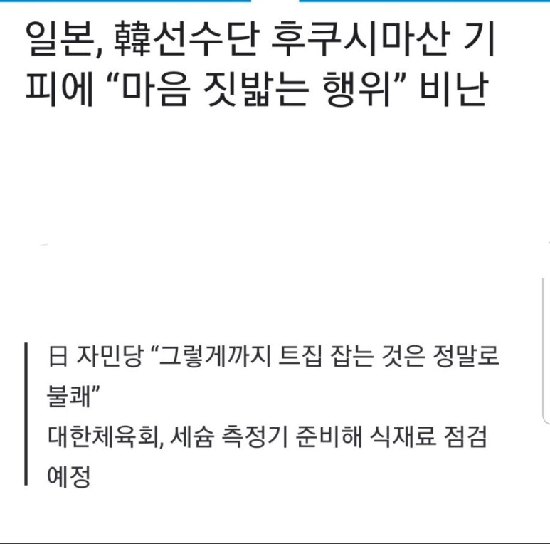  도쿄 올림픽 근황