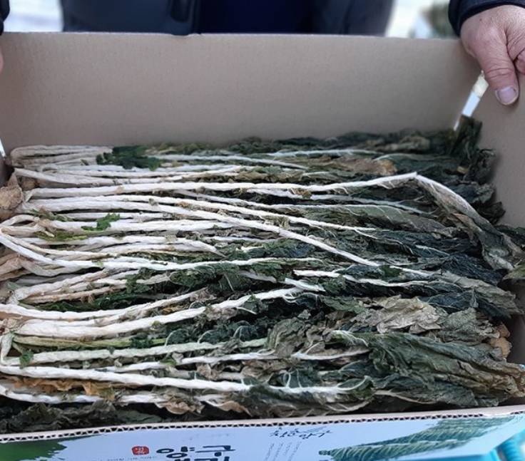  맛남의광장 양구시래기, 초대박난 우리존 양구펀치볼 무청 시래기 찐 사용후기 들고 왔어요!
