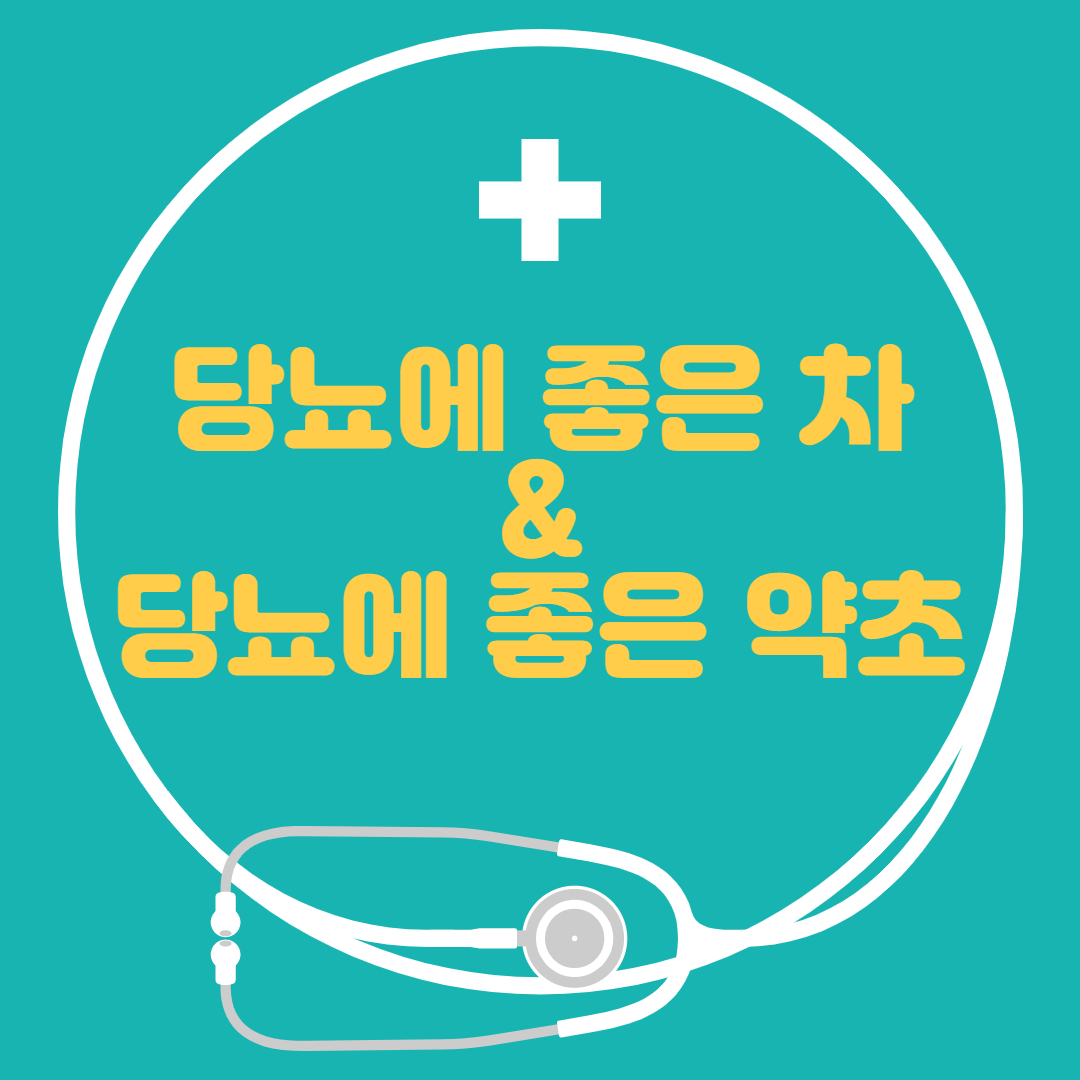  당뇨에 좋은 차, 약초 효능까지 간단하게 정리해요