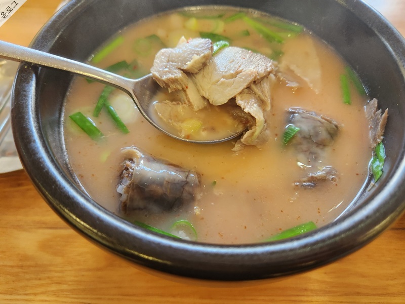  부산 돼지국밥 맛집, 덕천 24시 더도이 '종가집 돼지국밥' 솔직후기