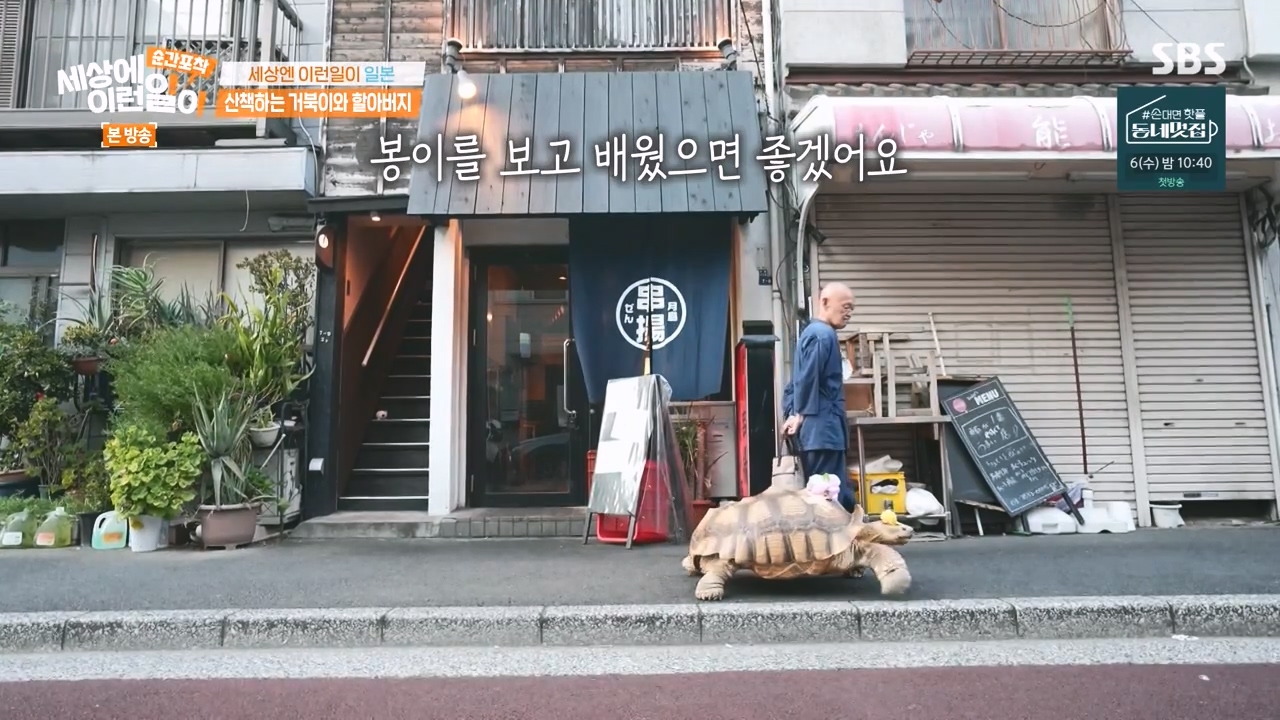 순간포착 세상에 이런일이.E1243.230827p-NEXT.mp4_20230827_172058.137.jpg