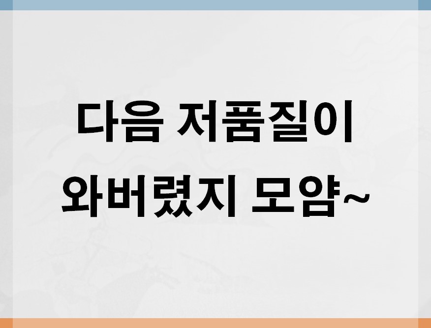  나의 티스토리 블로그에게 다음 저품질이 찾아온 걸까?!