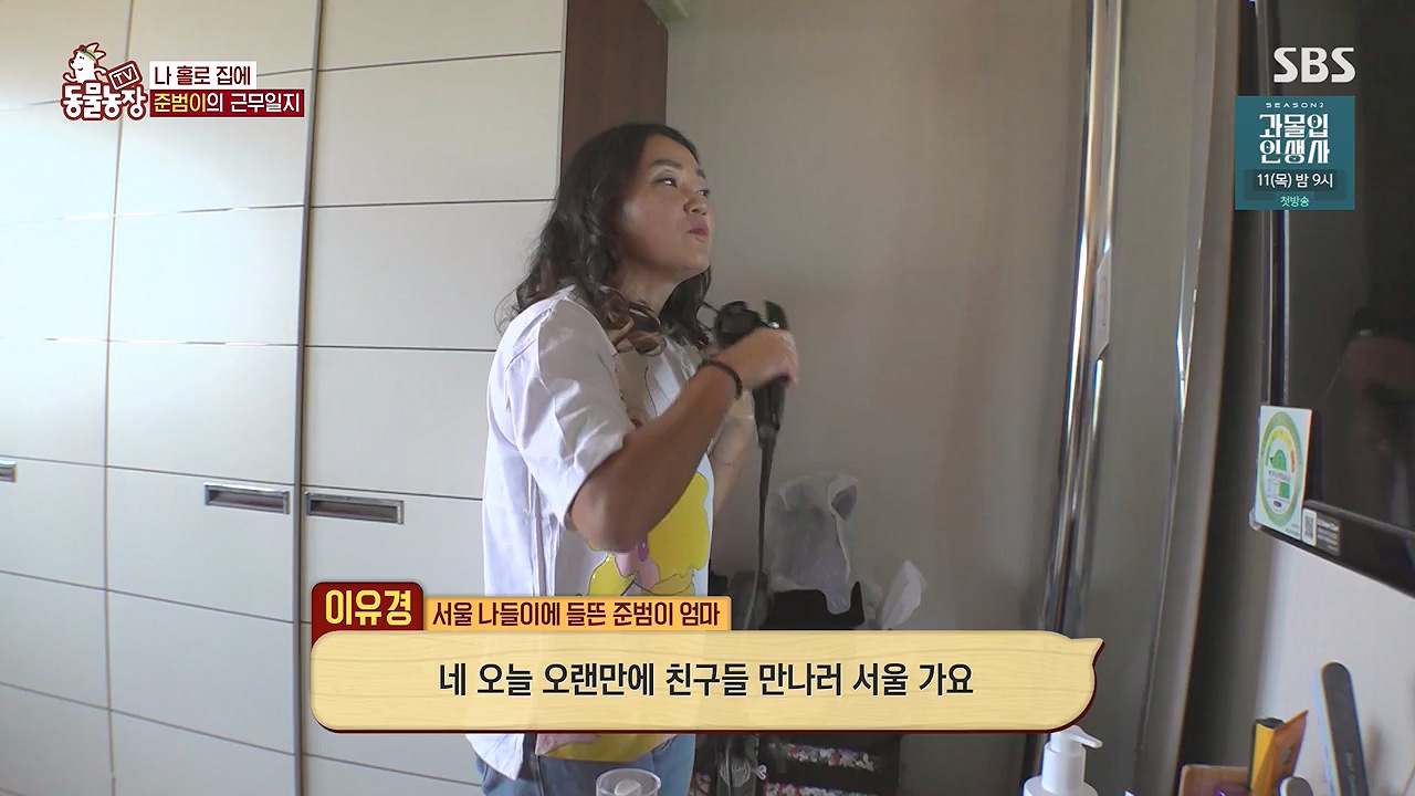 TV 동물농장.E1179.240708p-NEXT.mp4_20240707_160424.394.jpg
