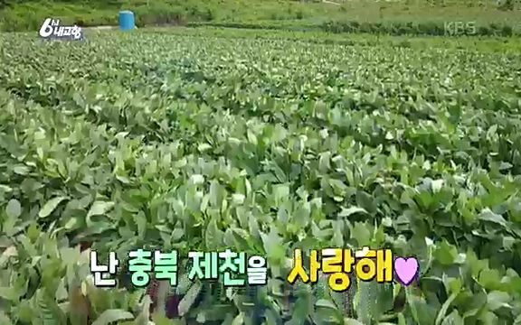 [7612회] 6시 내고향 - KBS7612회] 6시 내고향.ts_20220912_171258.870.jpg