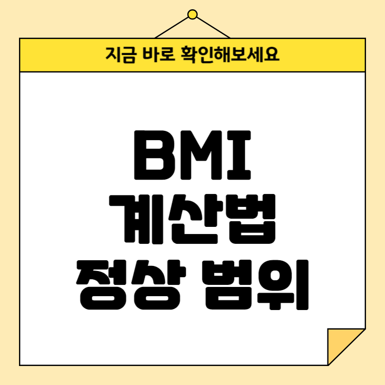 BMI 계산법과 정상 범위: 내 몸무게가 적절한지 확인하기