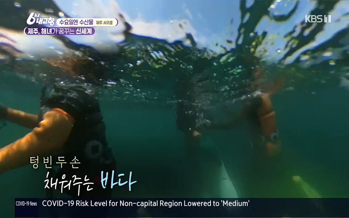 6시 내고향.E7617.220915p.H264-F1RST.mp4_20220916_213058.803.jpg