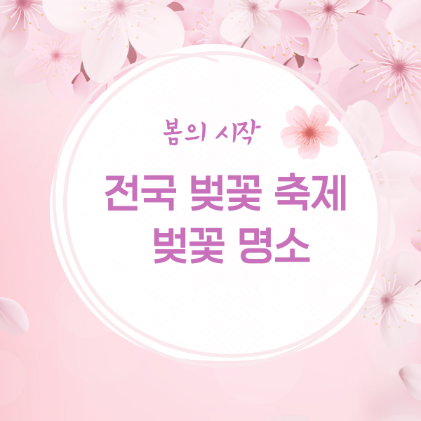 벚꽃 명소
