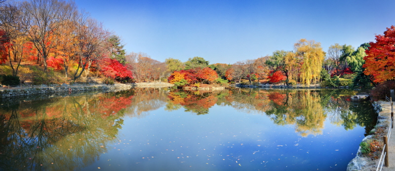창경궁 춘당지