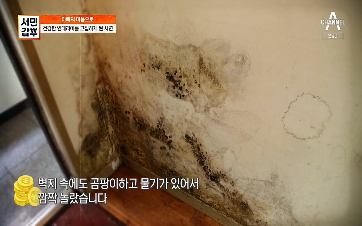서민갑부.E382.220508p.H264-F1RST.mp4_20220508_174954.884.jpg
