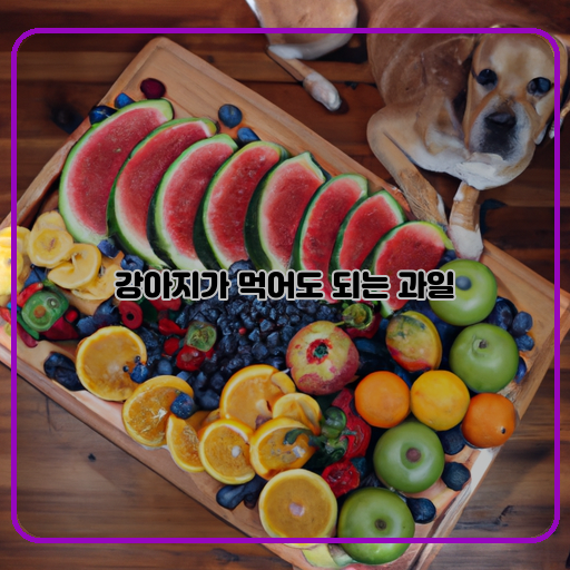 강아지&#44; 먹을-수-있는&#44; 과일
