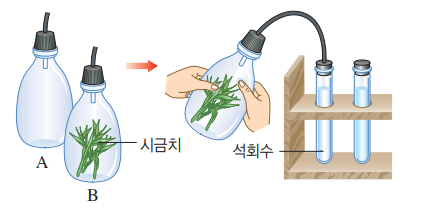 호흡 확인 실험