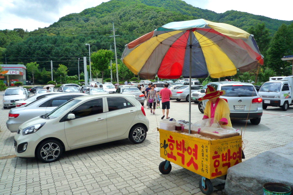 대전 유성 현충원 여행 평양냉면 맛집 숯골원냉면