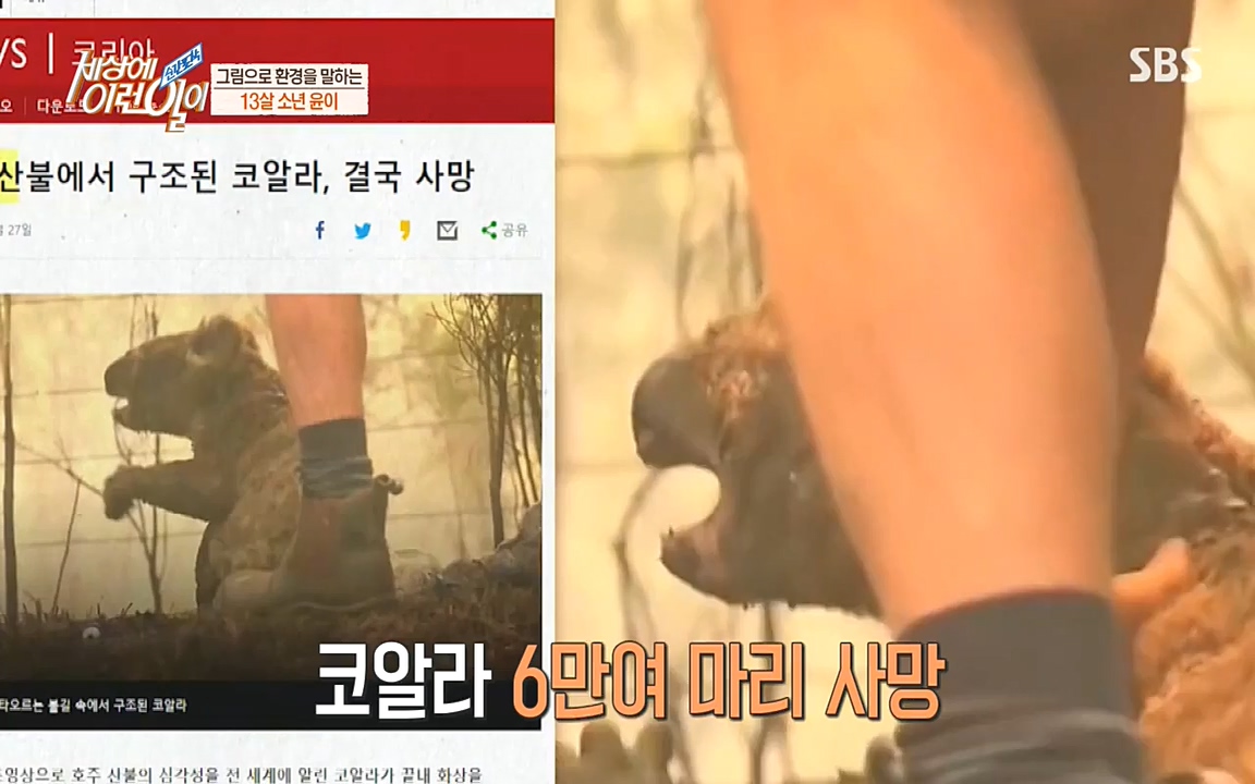 순간포착 세상에 이런일이.E1183.220608p-NEXT.mp4_20220608_201644.494.jpg