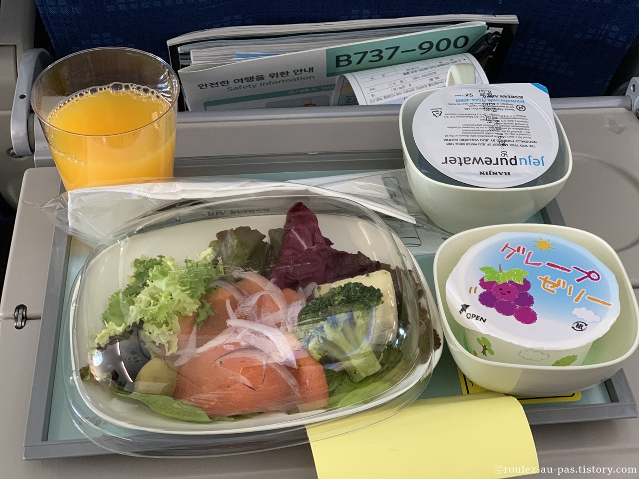 KE-NGO-ICN-FLIGHT-MEAL