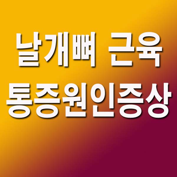  날개뼈 근육 통증 원인 증상