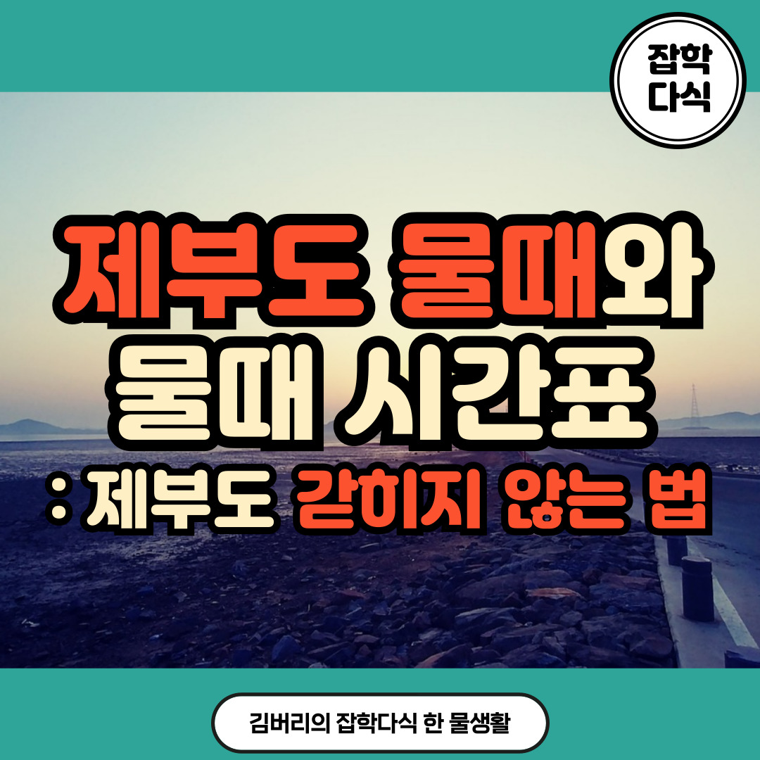 제부도 물때와 물때 시간표