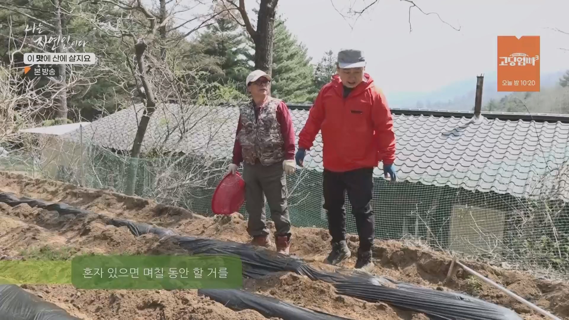 나는 자연인이다.E550.230419p.H264-F1RST.mp4_20230420_195649.756.jpg