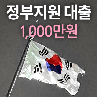 정부지원대출