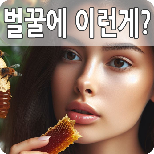  프로폴리스 효능 부작용 5가지,  복용법