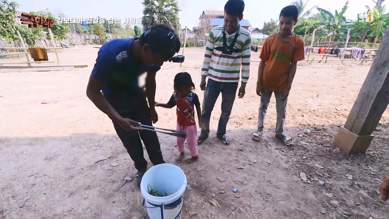 TV - 전 국민의 평생학교 EBS캄보디아 - 독충을 잡는 사람들.mp4_20230501_173353.713.jpg