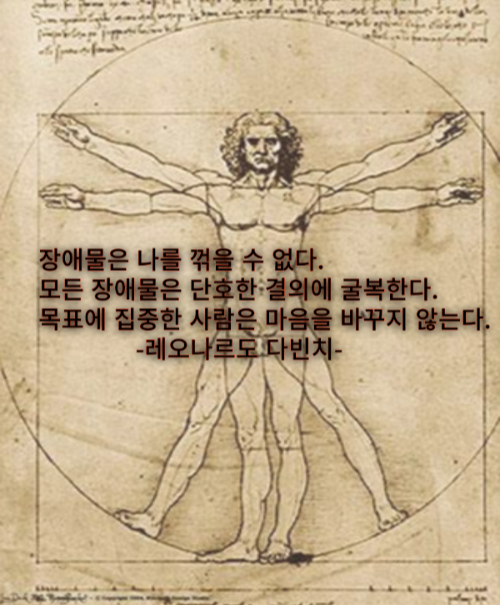 레오나르도 다빈치 / 해빙 잇올 /긍정명언/ 철학
