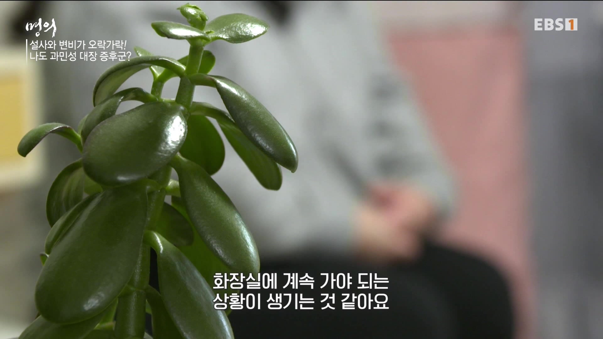 잘 먹고 잘 싸는 법 240323.mp4_20240324_172821.906.jpg