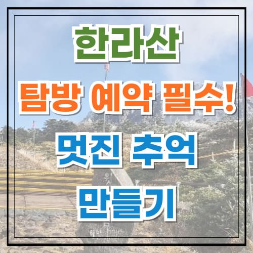 한라산 탐방 예약 필수! 아름다운 제주도를 만끽하세요