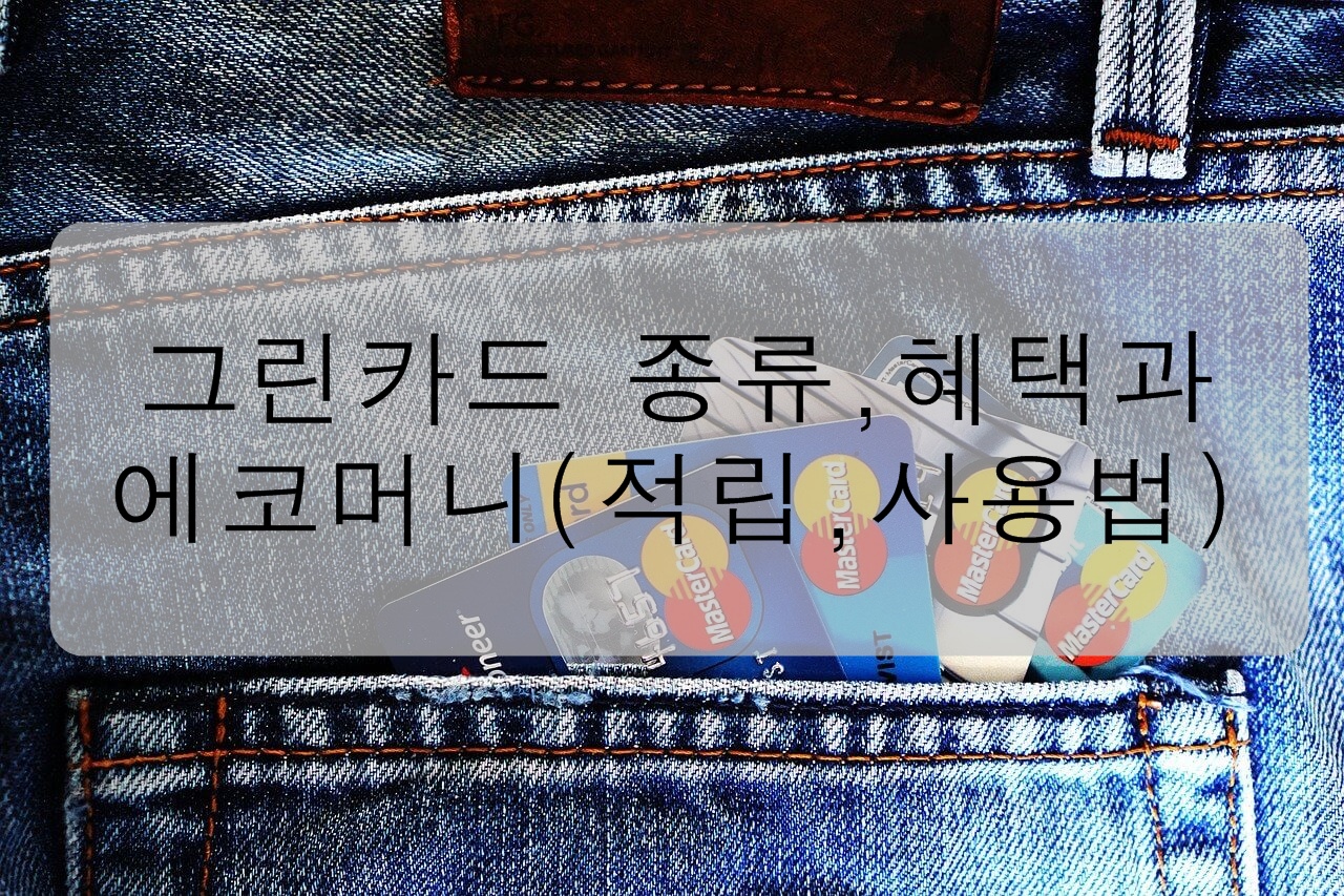  생활비 절감에 좋은 그린카드 종류, 혜택, 에코머니(적립, 사용법)에 대해 알아보자!
