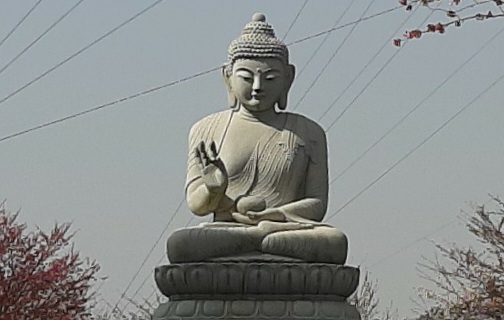 img.jpg