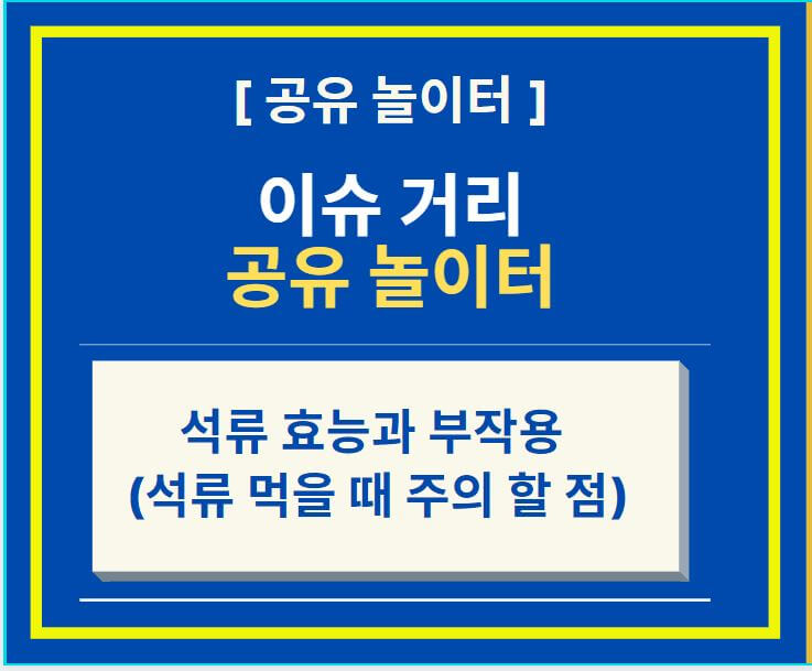  석류 효능과 부작용 (feat. 석류 먹을 때 주의 할 점)