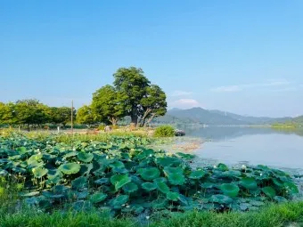 양평 가볼만한곳 베스트10 현지인 추천 필수코스_16