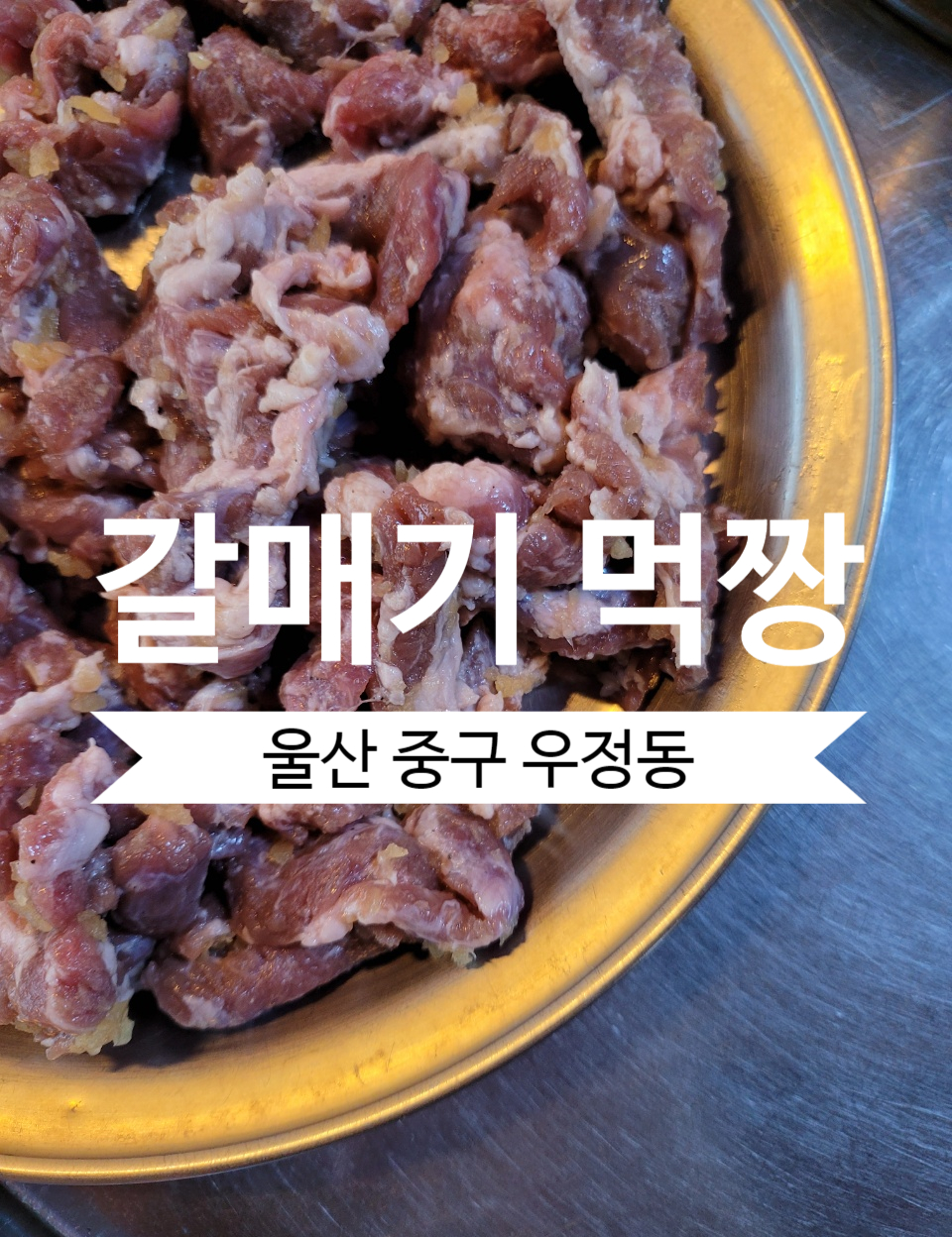 갈매기먹짱 이미지
