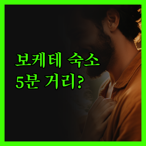 보케테 숙소의 진실! 시립 공원 옆 