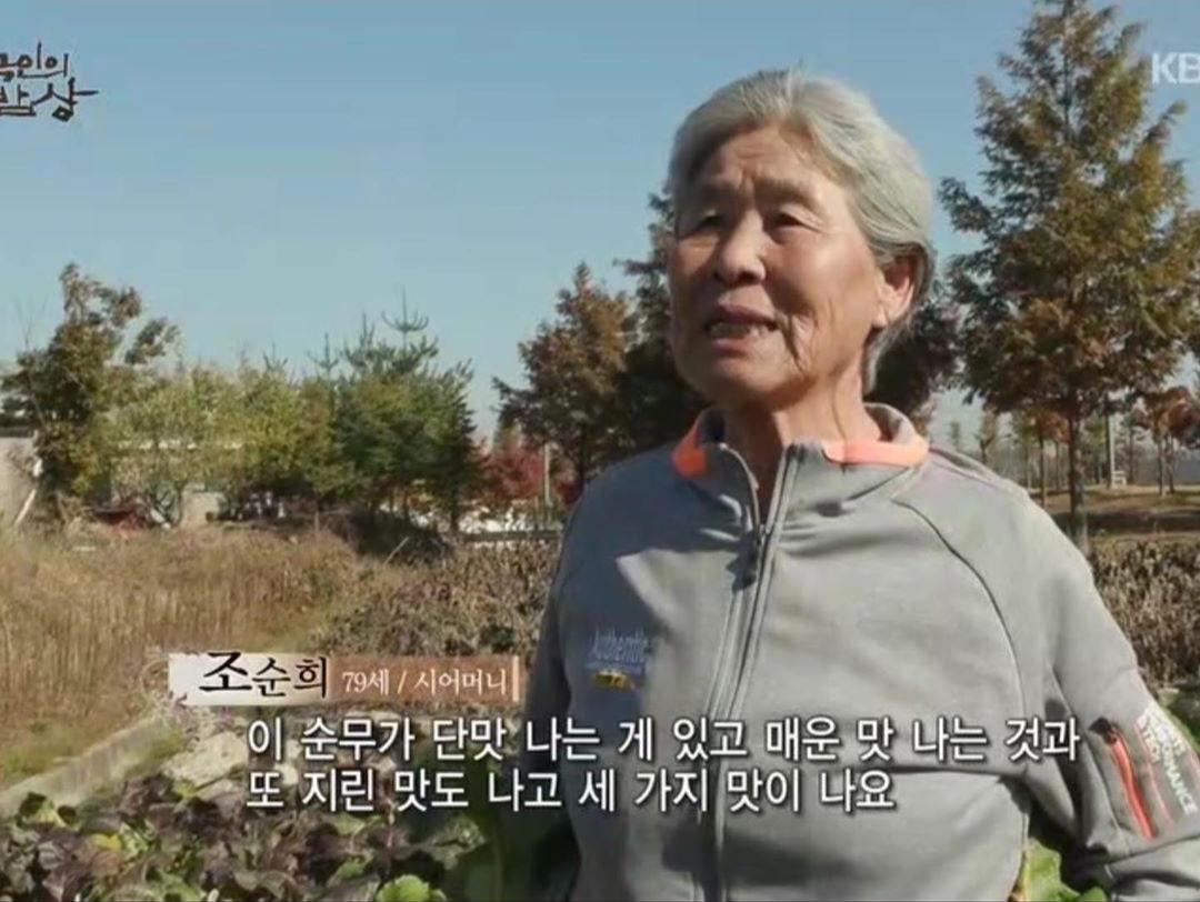  굿모닝 대한민국 다리오의 시골밥상 설렁탕 순무 및 김치 판매 인천 강화도 맛집