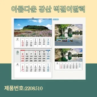 성인 축일 달력: 365일 함께하는 거룩한 친구들_12