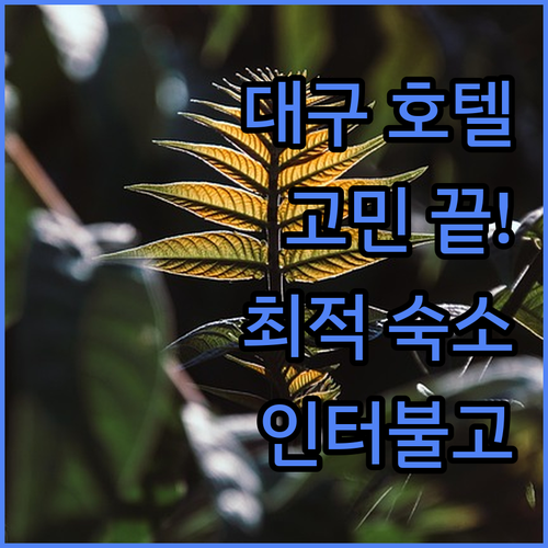 대구 숙소 고민 끝! 위치, 청결, 