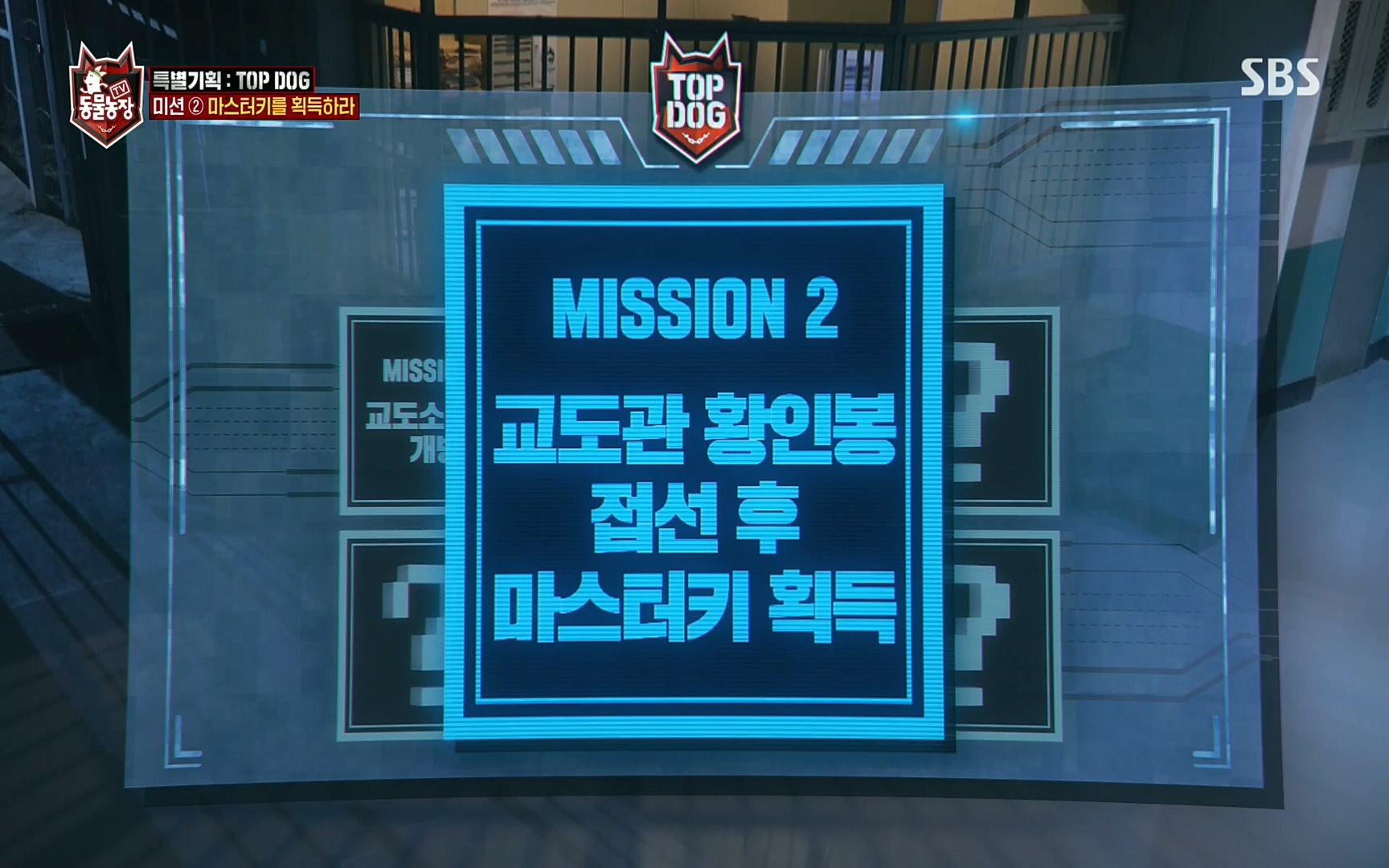 TV 동물농장.E1086.220911p.H264-F1RST.mp4_20220911_173346.008.jpg