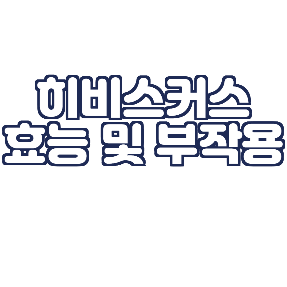  히비스커스 효능 및 부작용 총 정리!
