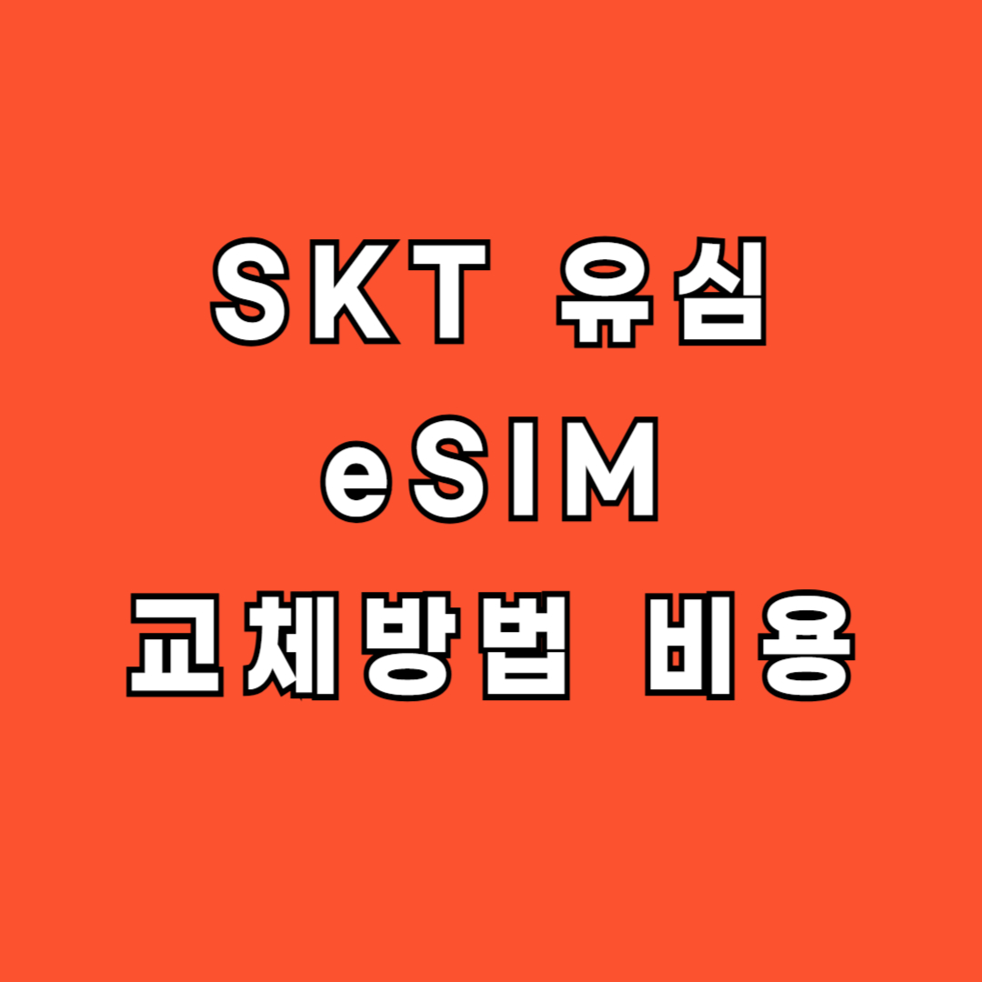 SKT 유십칩 eSIM 교체방법 교체비용 총정리