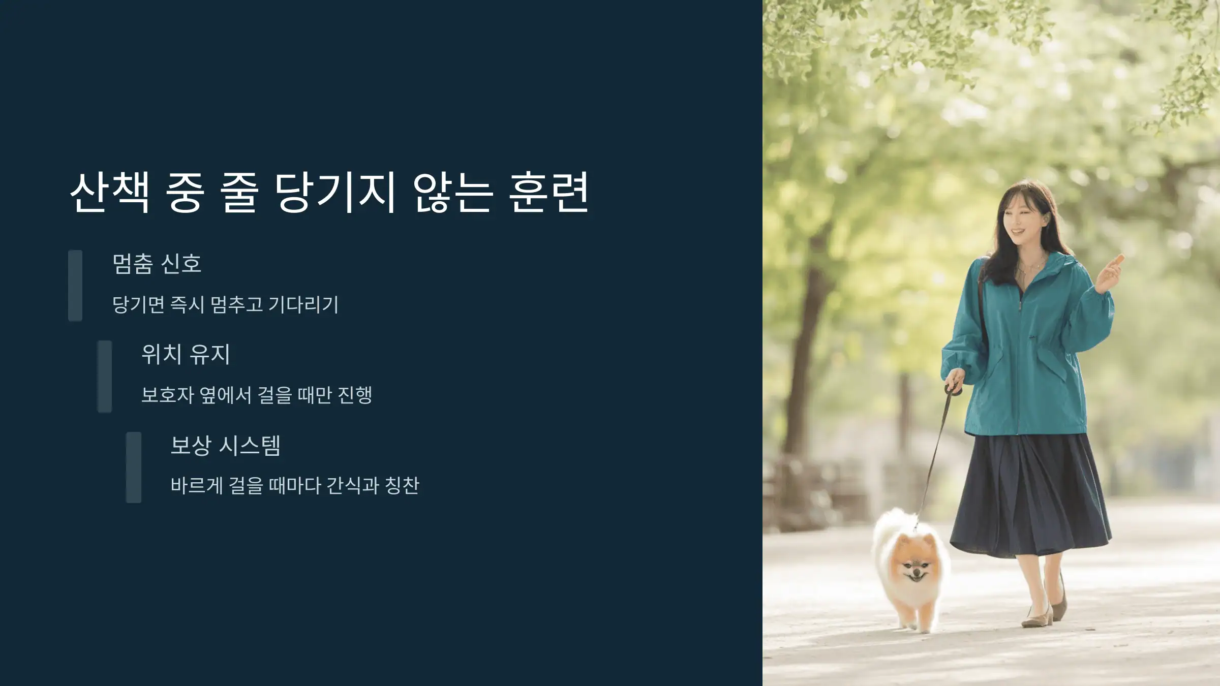 산책 시 줄 당기지 않게 훈련하기