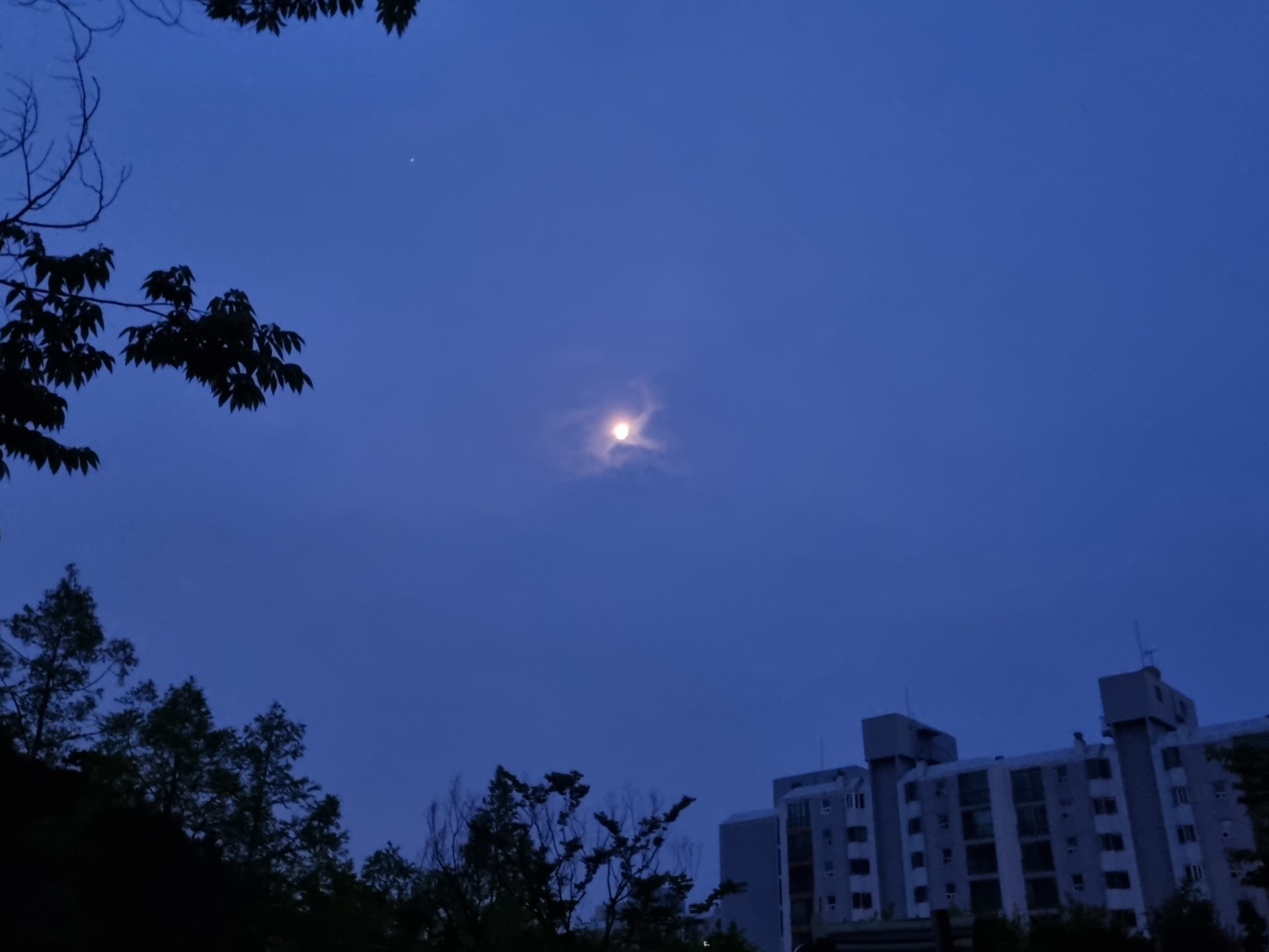  如鳥數飛