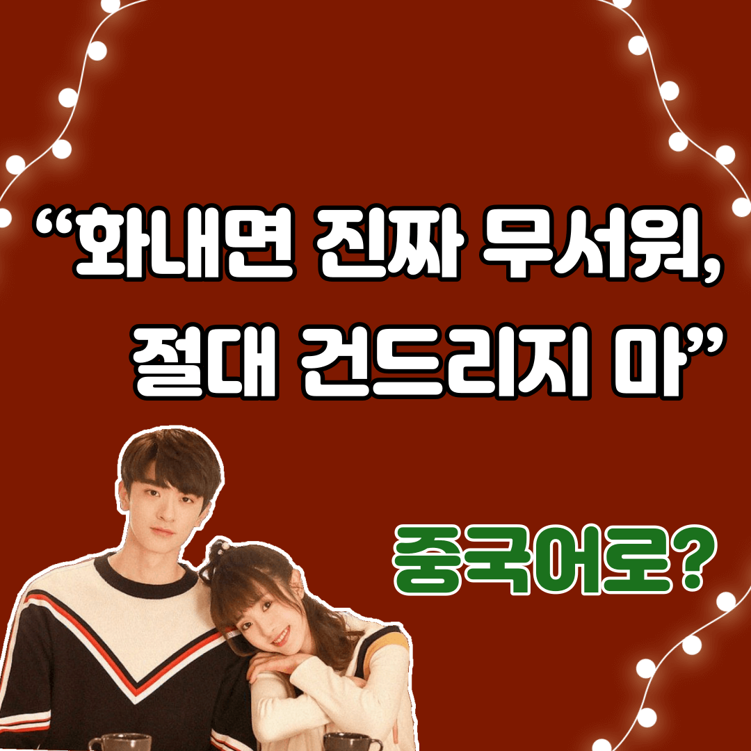 중국어한마디&quot;화내면 진짜 무서워&#44; 절대 건드리지 마&quot;