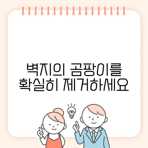 벽지의 곰팡이를 확실히 제거하세요